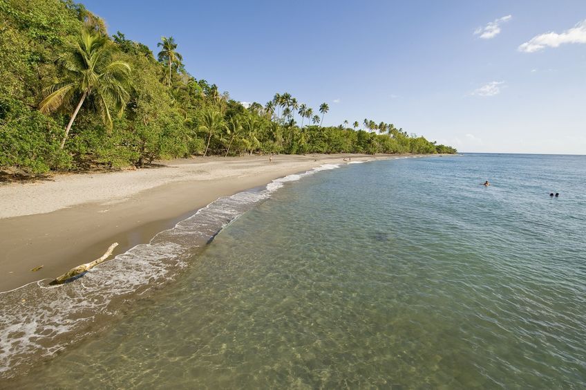 plage anse ceron en martinique